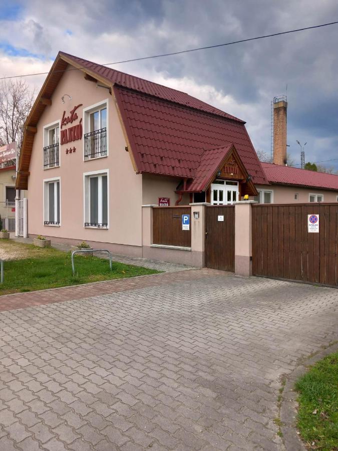 Kata Panzio Hotel Oroszlany Exterior photo